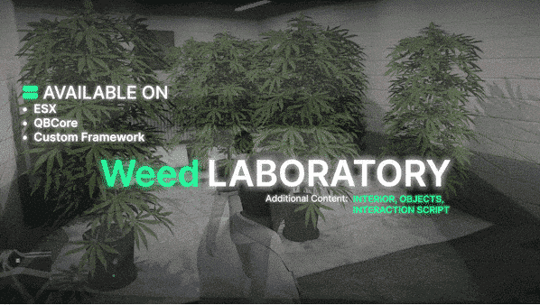 Weed Growing System Weed Growing System