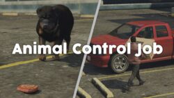 Animal Control Job