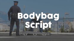 Bodybag Script