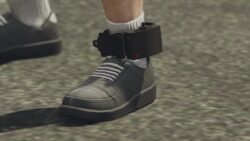 Advanced Ankle Monitor