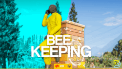 FREE NoPixel BeeKeeping