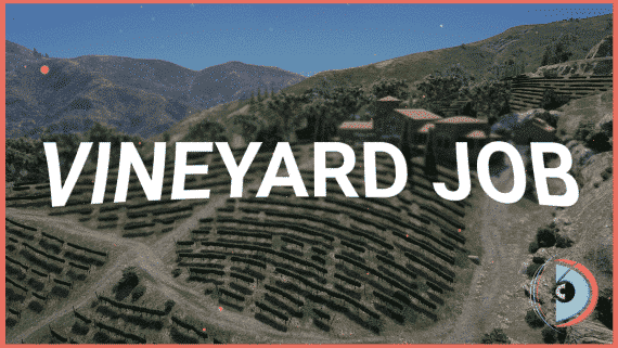 Full Vineyard Job Script Full Vineyard Job Script