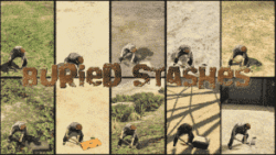 Bury your TREASURE! [Buried Stashes] - Image 1